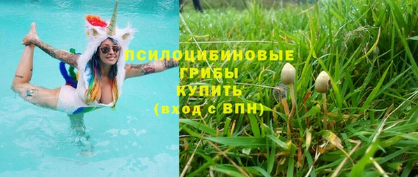 соль ск Абдулино