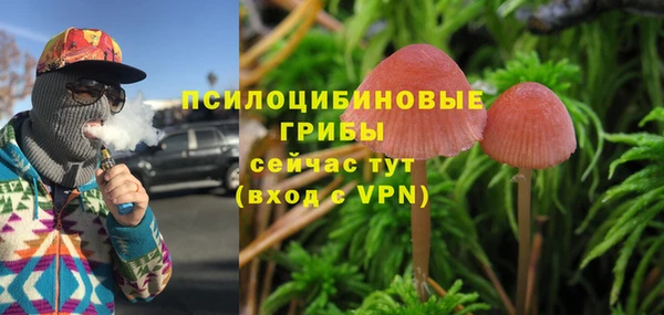 стафф Абаза